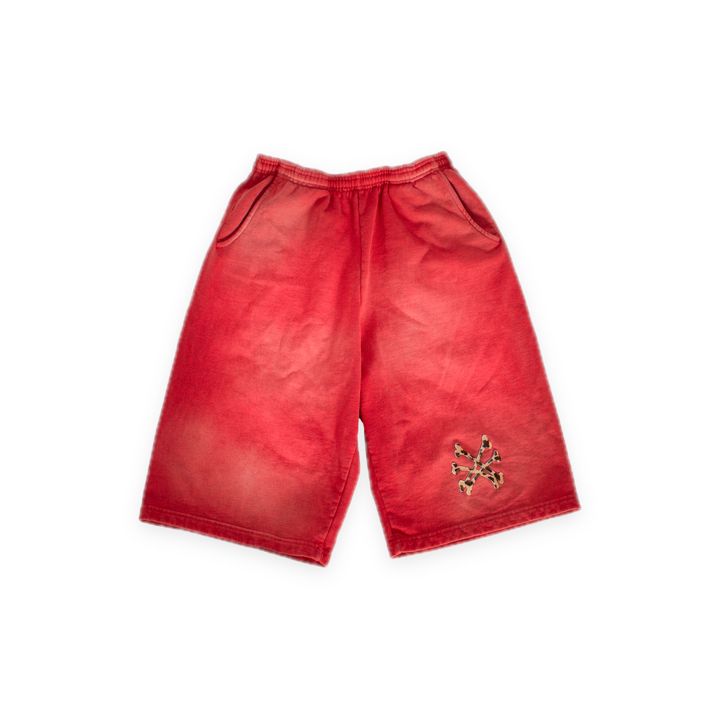 Cheetah Shorts front