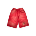 Cheetah Shorts front